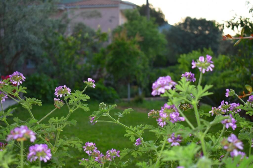 Villa Sunset Lefkas اجيوس ايوانيس المظهر الخارجي الصورة